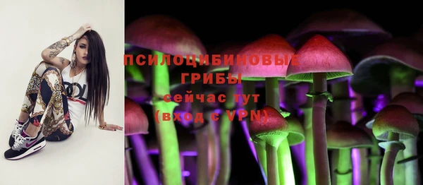 прущие крисы Балабаново