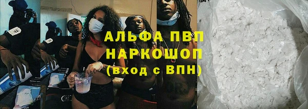 прущие грибы Балахна