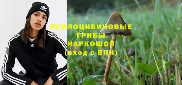 прущие грибы Балахна