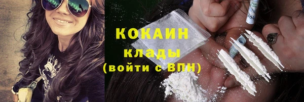 прущие грибы Балахна